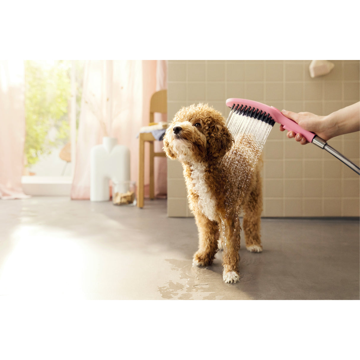 Douchette Grohe pour animaux, type brosse, couleur rose, utilisée pour laver un chien.