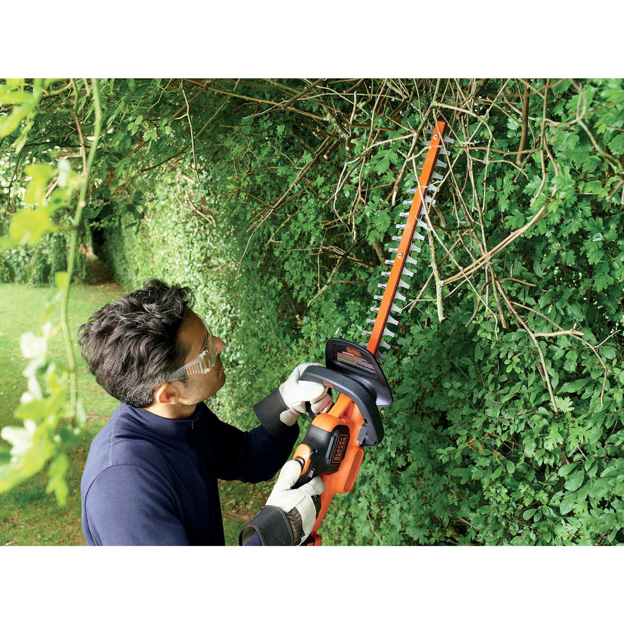 Taille-haie électrique Black+Decker orange utilisé pour tailler des haies vertes