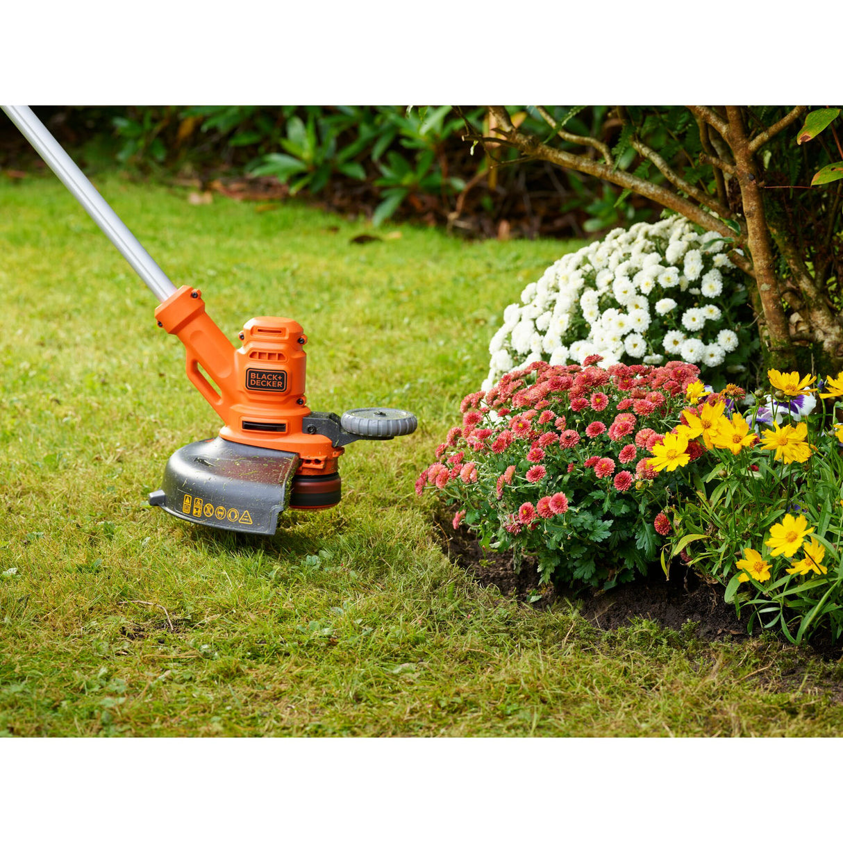 Coupe-bordure filaire BLACK+DECKER 550W avec lame de 30 cm et rallonge électrique de 10 m, outil de jardinage robuste.