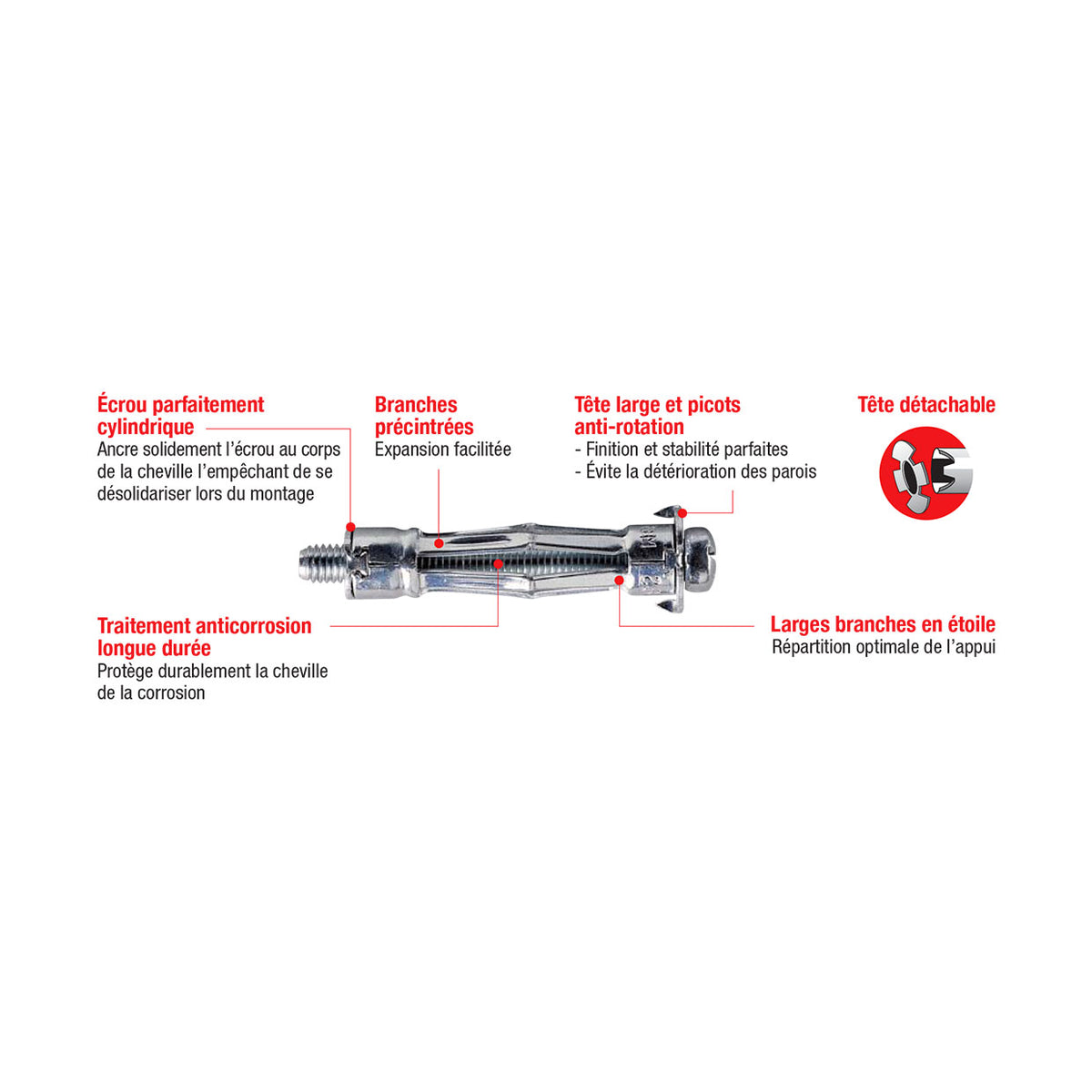 Molly PRO-PACK 100 chevilles métalliques à expansion Ø 5 x 36 mm avec vis M5 - Mister PRO