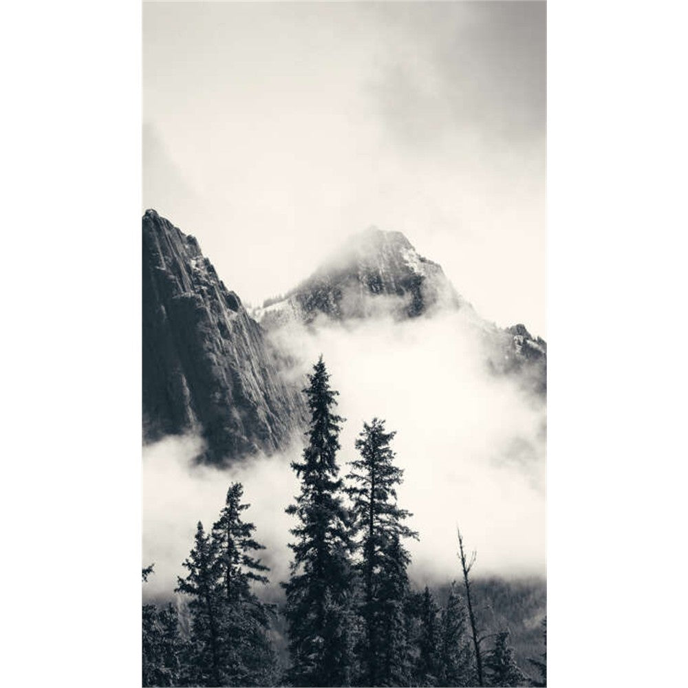 Panneau mural douche VIPANEL - Inspiration nature Montagne Brumeuse - Finition brillant