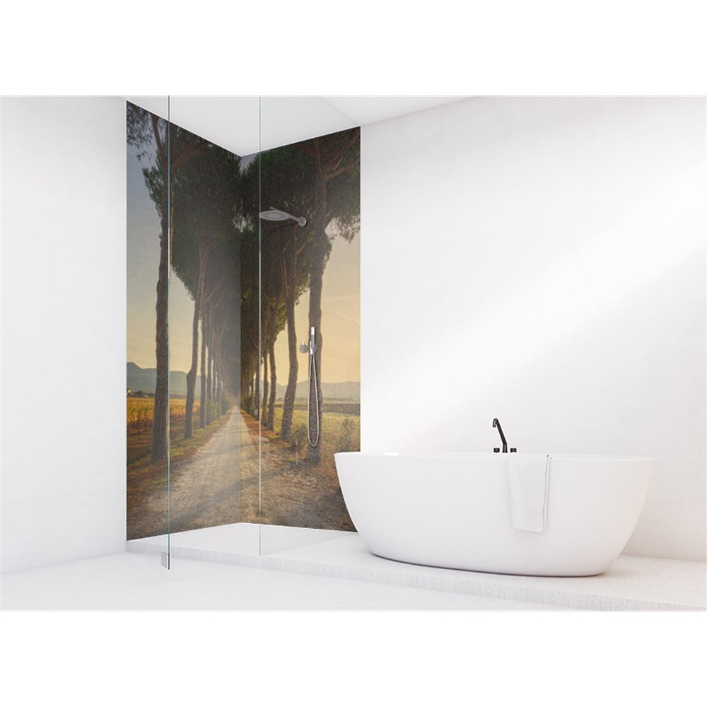 Panneau mural douche VIPANEL - Inspiration nature Chemin des pins - Finition brillant