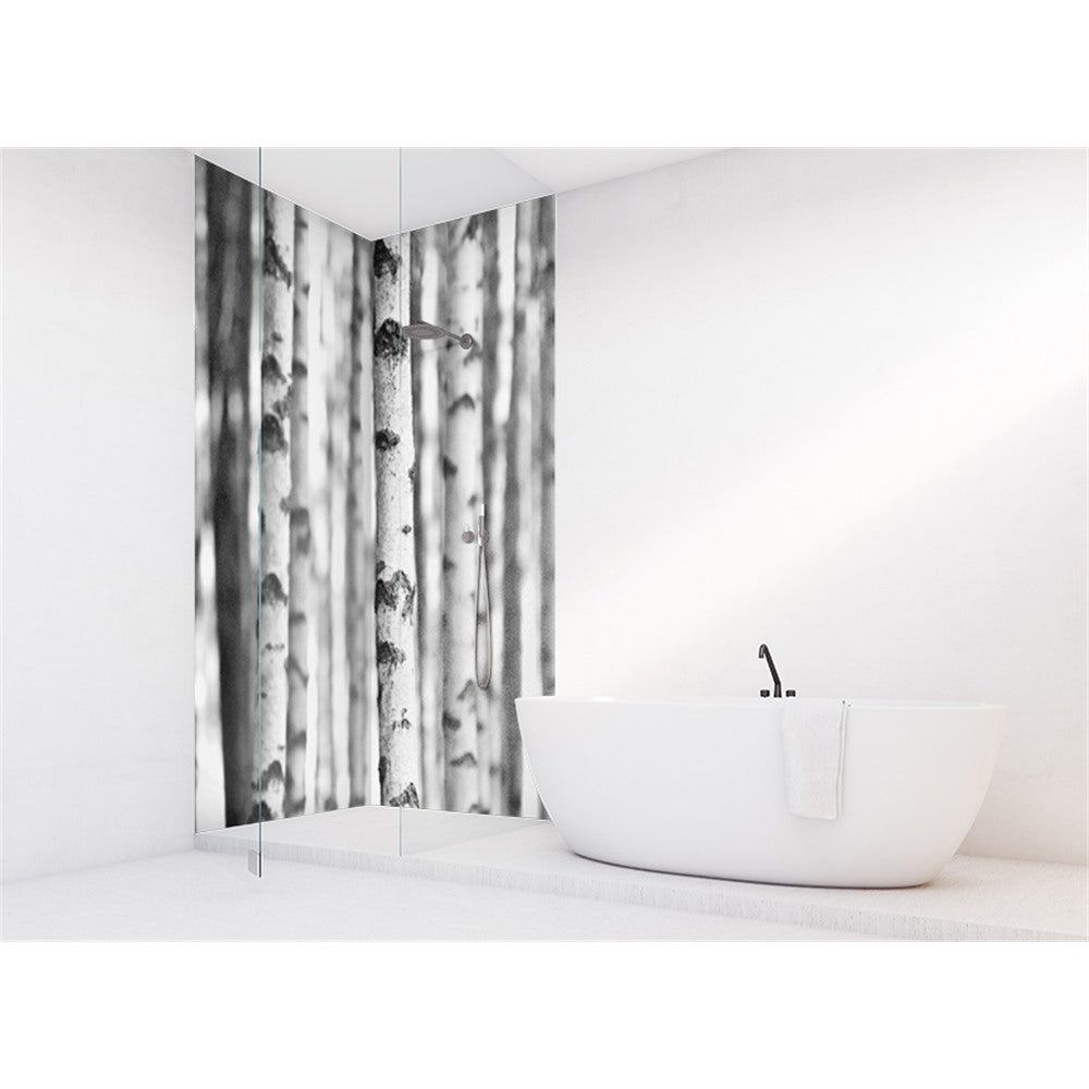 Panneau mural douche VIPANEL - Inspiration nature Bouleaux - Finition brillant