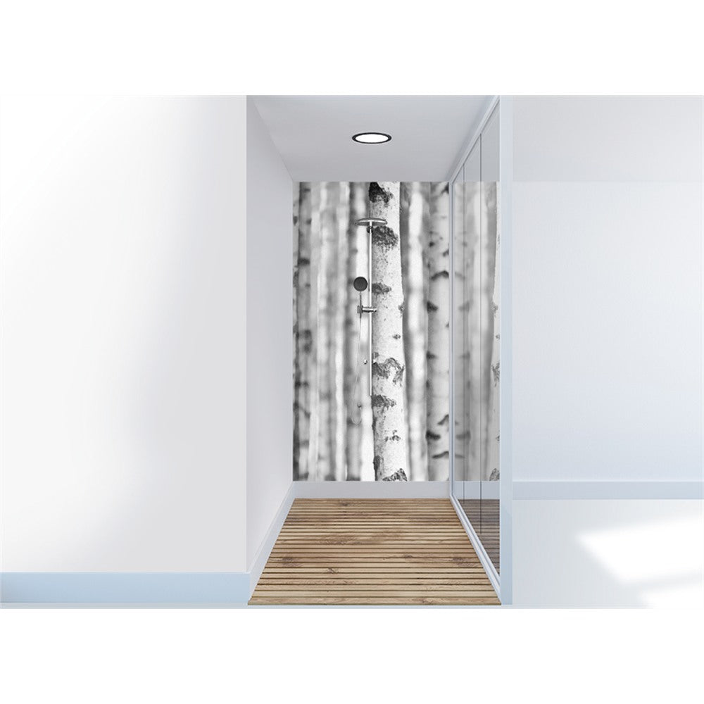 Panneau mural douche VIPANEL - Inspiration nature Bouleaux - Finition brillant