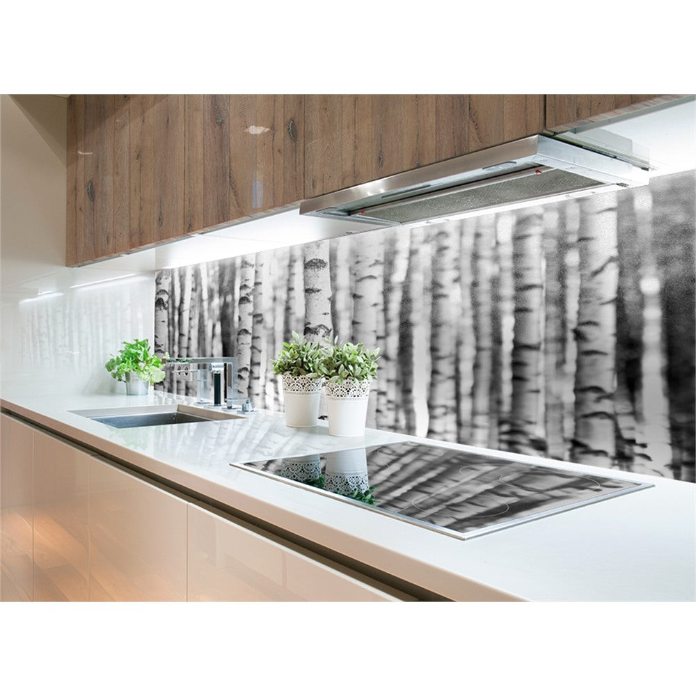 Panneau mural douche VIPANEL - Inspiration nature Bouleaux - Finition brillant