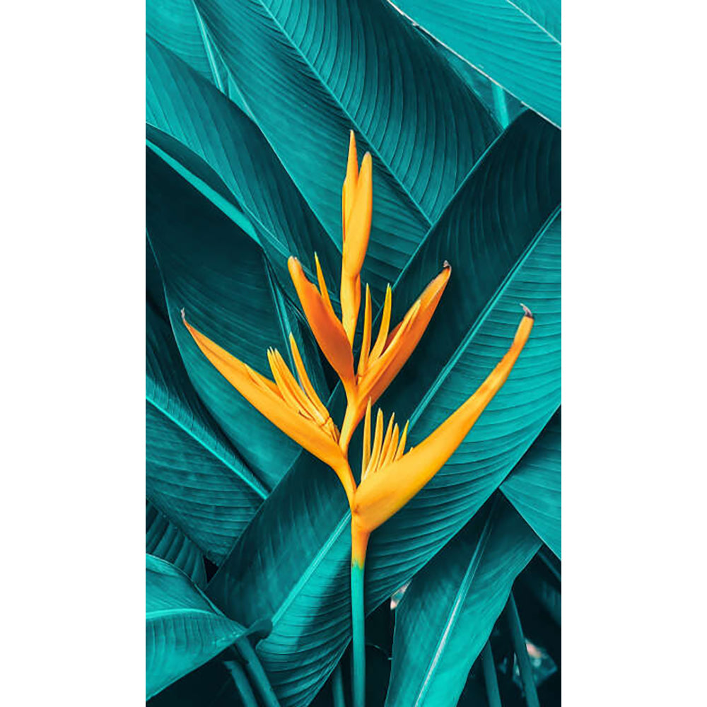 Panneau mural douche VIPANEL - Inspiration nature Fleur exotique - Finition brillant