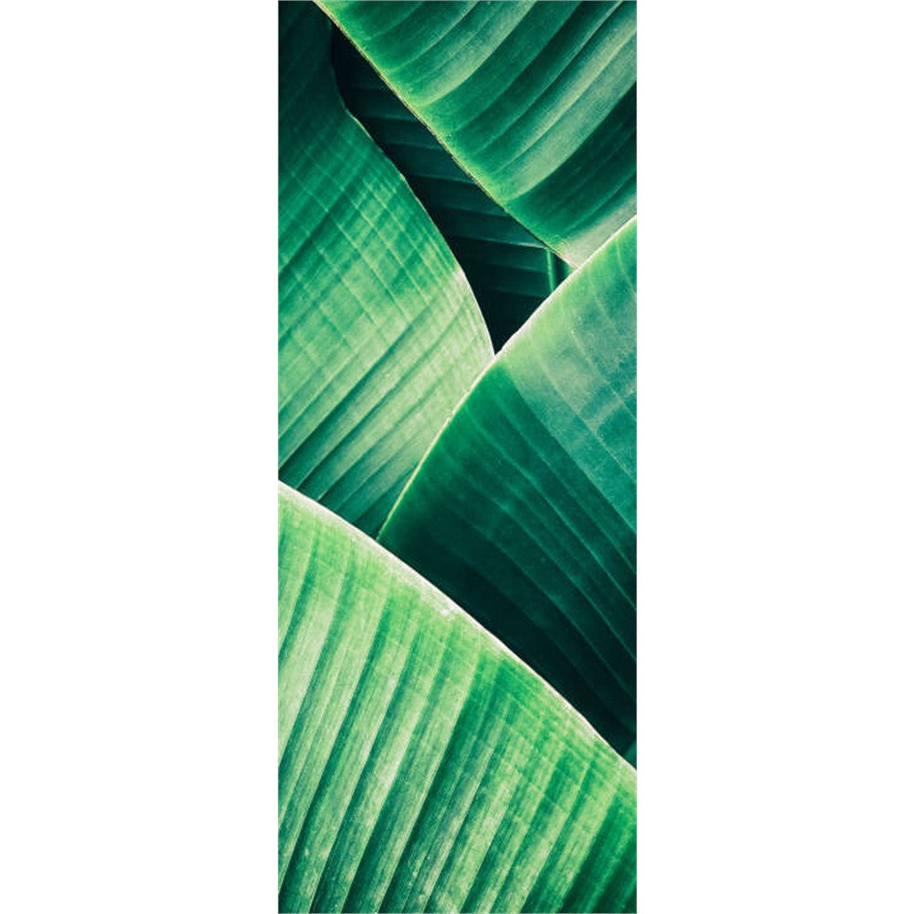 Panneau mural douche VIPANEL - Inspiration nature Feuille tropicale - Finition brillant