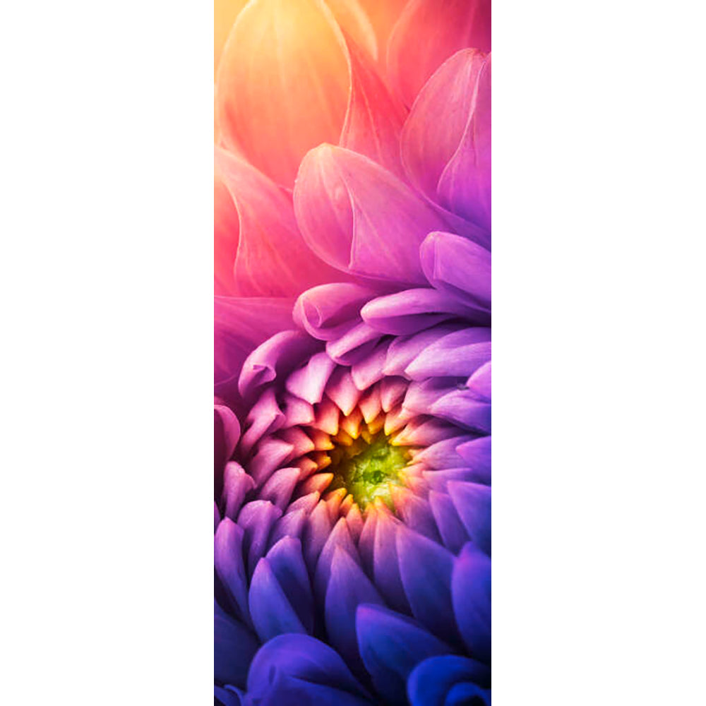 Panneau mural douche VIPANEL - Inspiration nature Chrysantheme violet - Finition brillant