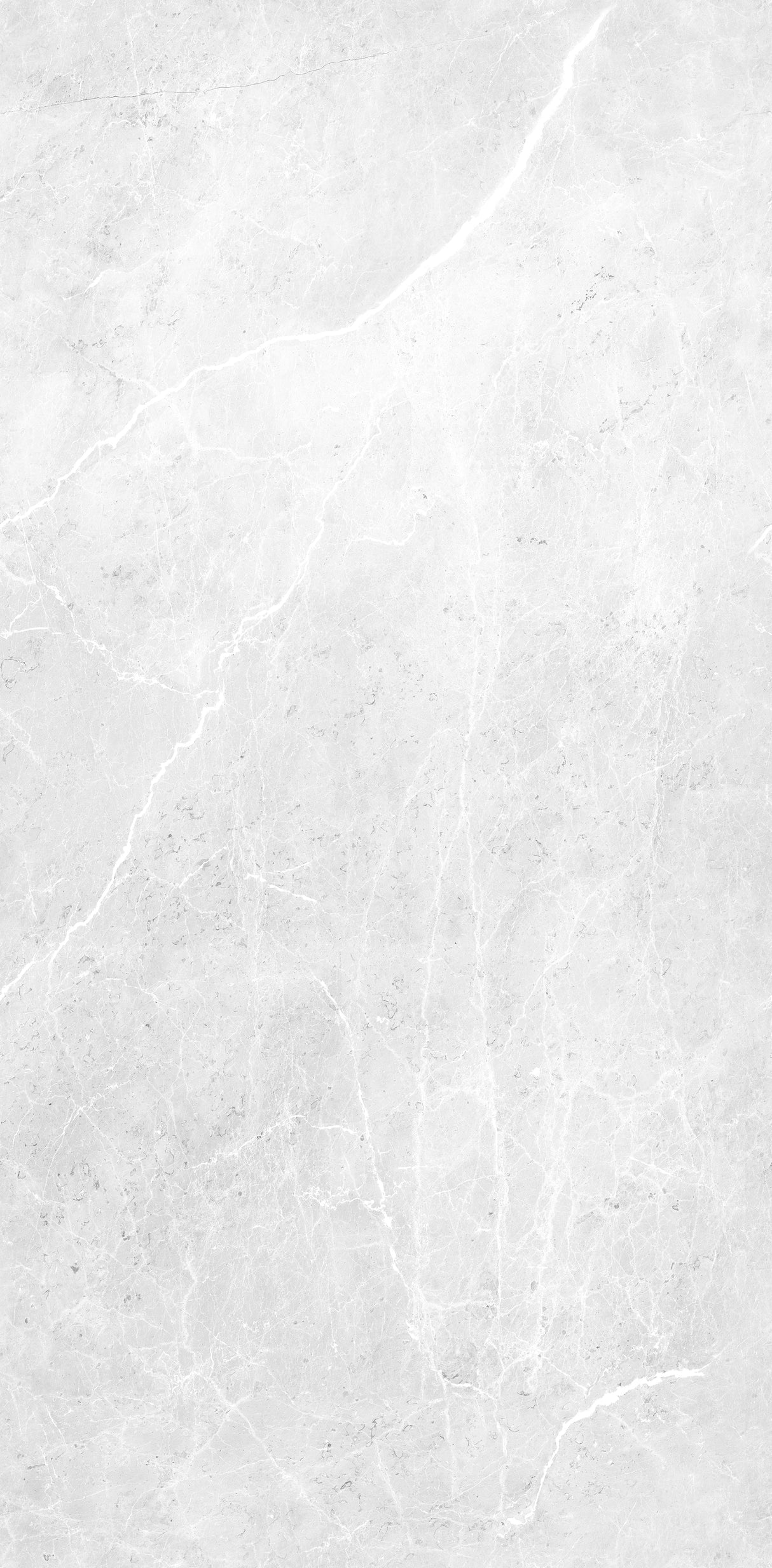 Carrelage Brillant marque Aragongris, type carreau, couleur gris clair avec effet marbre.