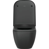 Toilette Duravit noire design moderne, type WC, couleur noire, vue de face.