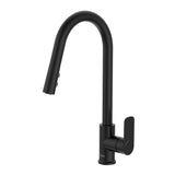 Mitigeur de cuisine Roca, robinet noir mat moderne avec douchette