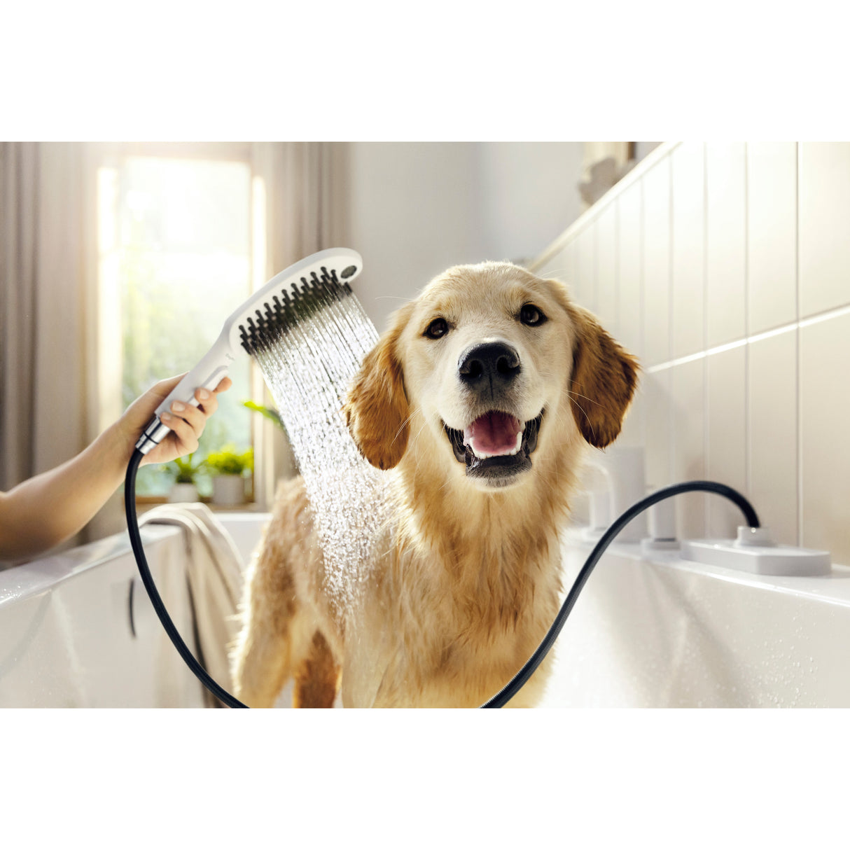 Pommeau de douche Grohe blanc pour chien sous l'eau, accessoire de salle de bain