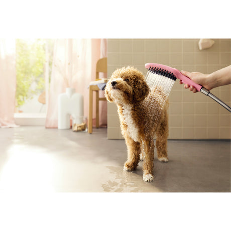 Douchette Grohe pour animaux, type brosse, couleur rose, utilisée pour laver un chien.