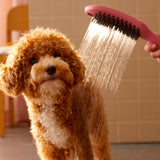Douchette rose, brosse de bain pour chien, utilisée pour laver un chien, marque non visible