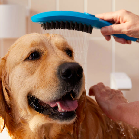 Brosse de douche bleue Petkit pour chien, accessoire toilettage, couleur bleue