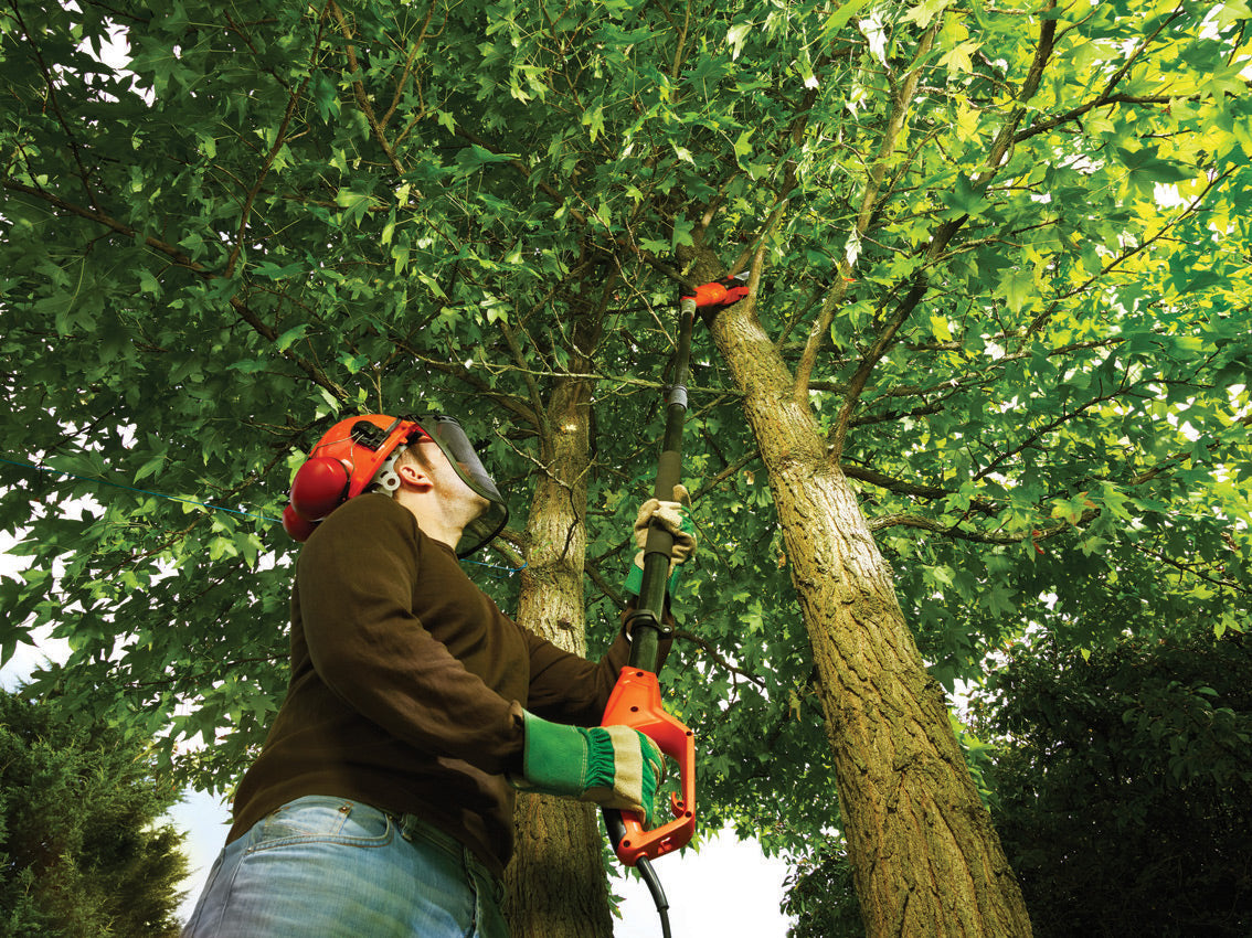 Homme utilisant une élagueuse télescopique Stanley rouge pour tailler une branche d’arbre