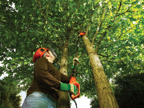 Homme utilisant une élagueuse télescopique Stanley rouge pour tailler une branche d’arbre