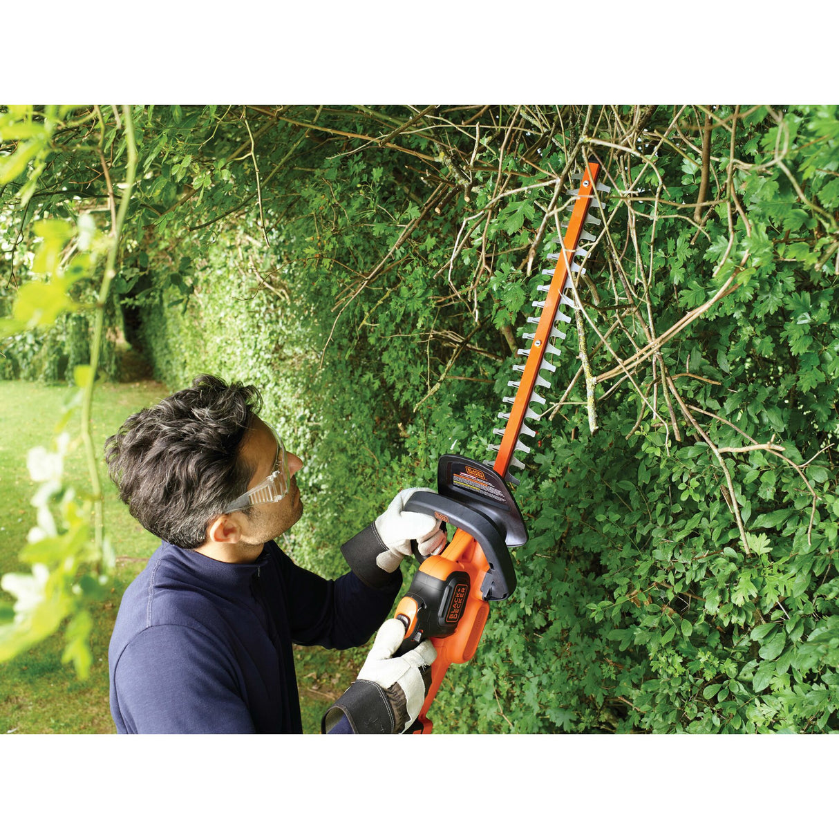 Taille-haie Black+Decker orange en utilisation pour tailler des haies vertes