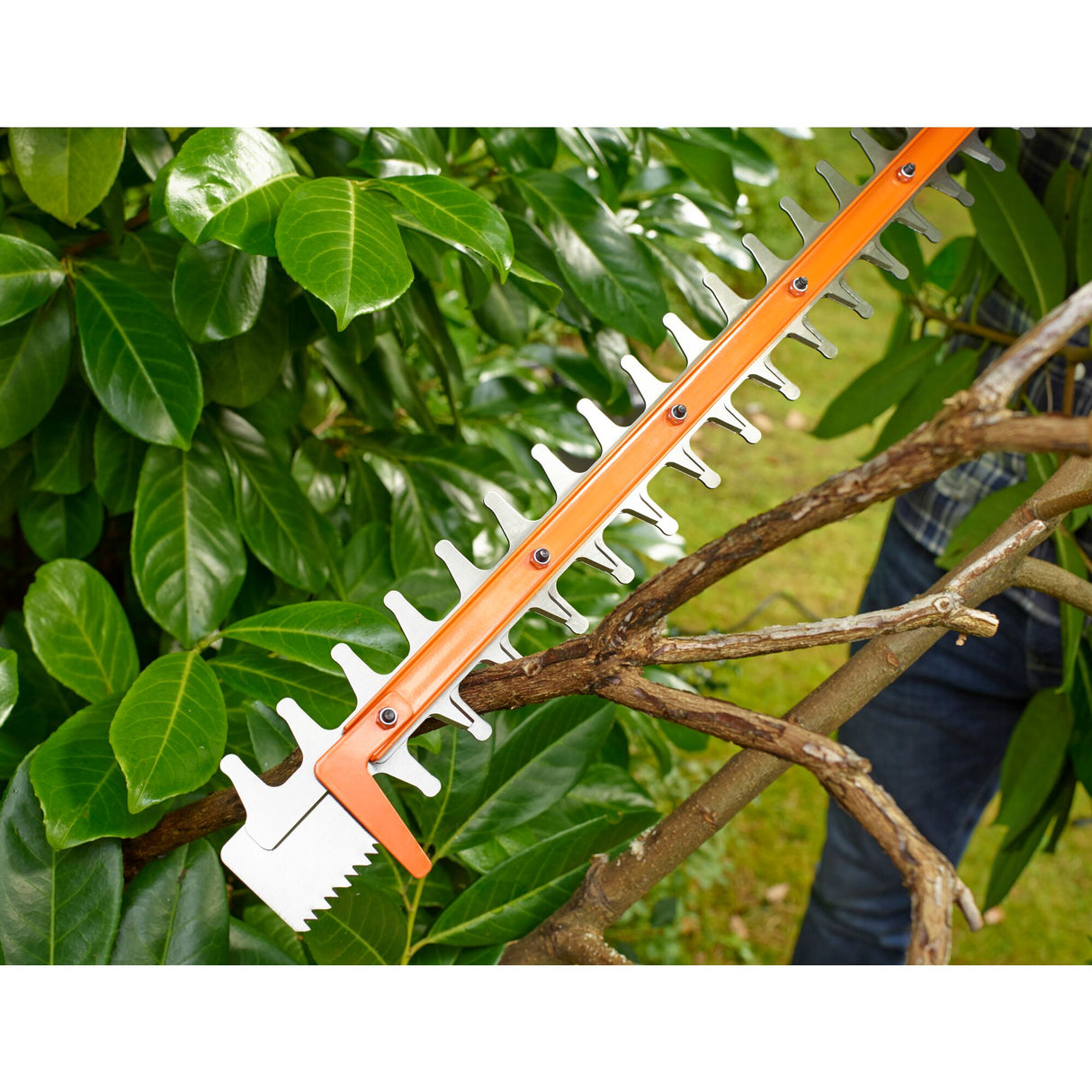 Taille-haie orange STIHL en action, lame coupe-branche sur végétation verte.