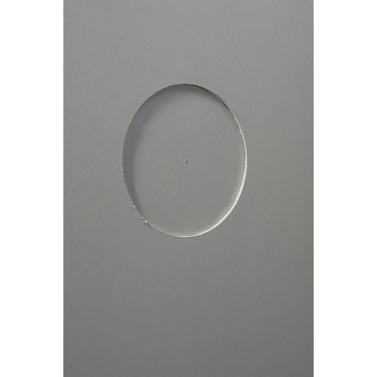 Marque Grohe, plaque de commande grise pour WC, design rond, aspect moderne.