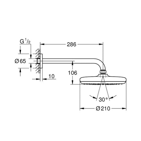 GROHE Douche de tête 1 jet et bras 286mm Tempesta 210 - Mister PRO