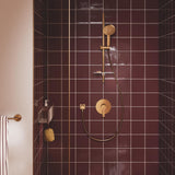 GROHE Mitigeur de douche monocommande 1 sortie Lineare - Mister PRO