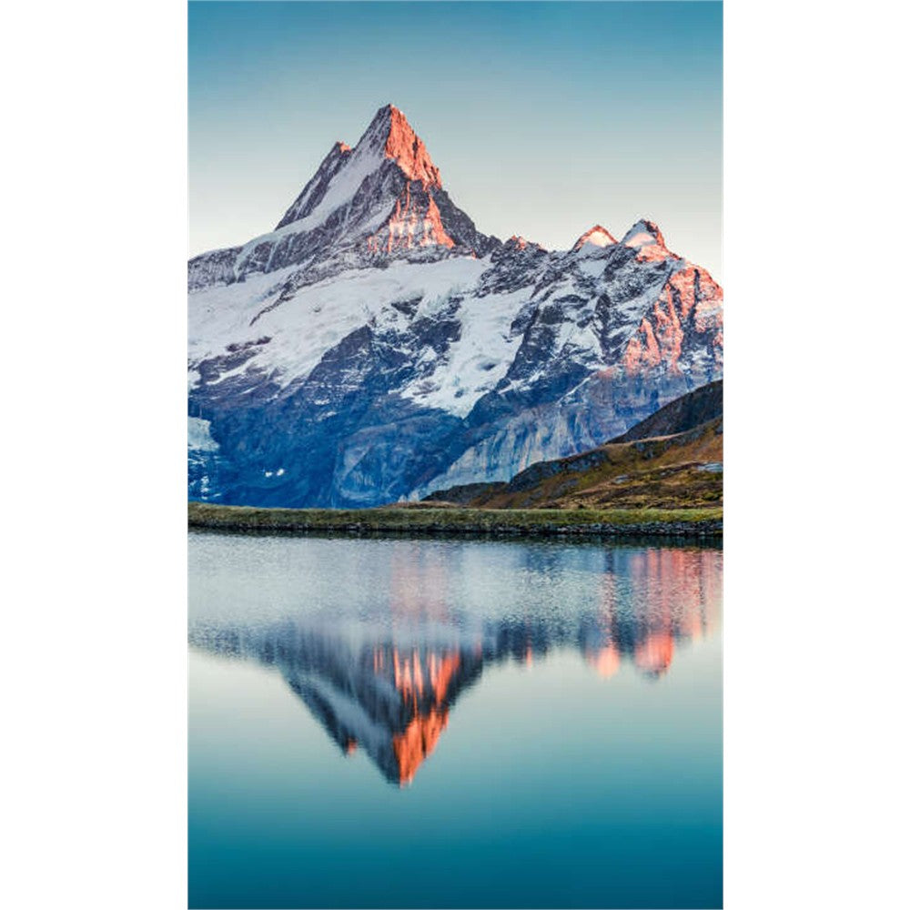 Panneau mural douche VIPANEL - Inspiration nature Reflet mon - Finition brillant