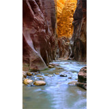 Panneau mural douche VIPANEL - Inspiration nature Arizona - Finition brillant