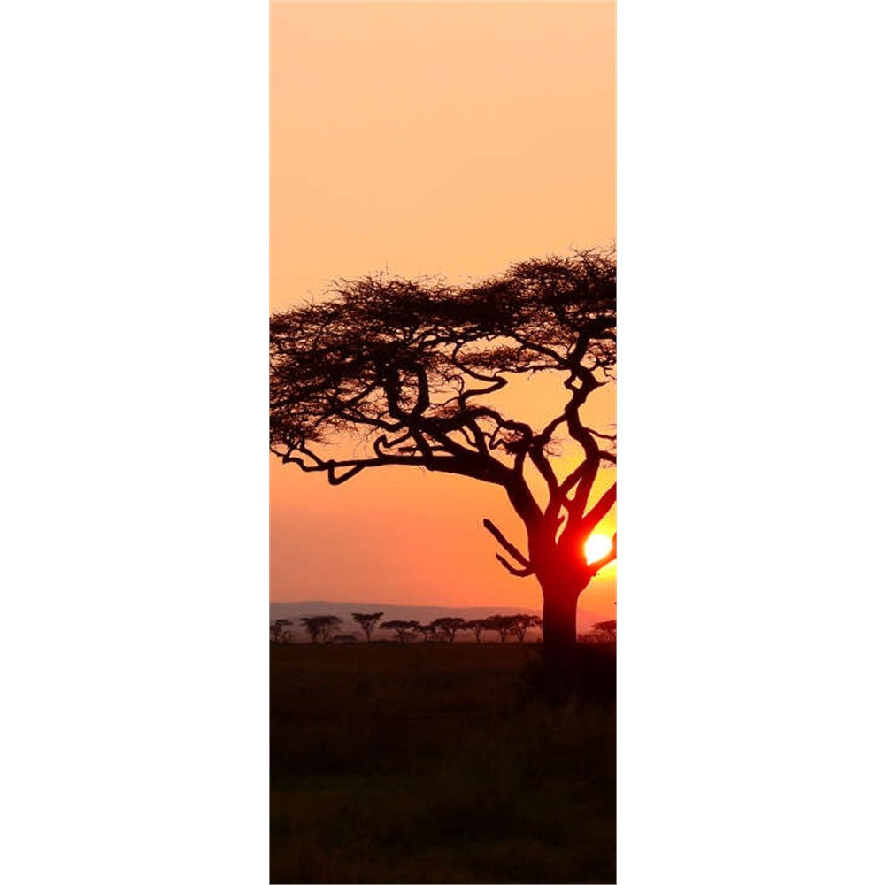 Panneau mural douche VIPANEL - Inspiration nature Africa - Finition brillant