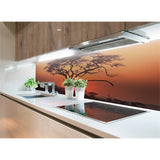 Panneau mural douche VIPANEL - Inspiration nature Africa - Finition brillant