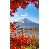 Panneau mural douche VIPANEL - Inspiration nature Mont Fuji - Finition brillant