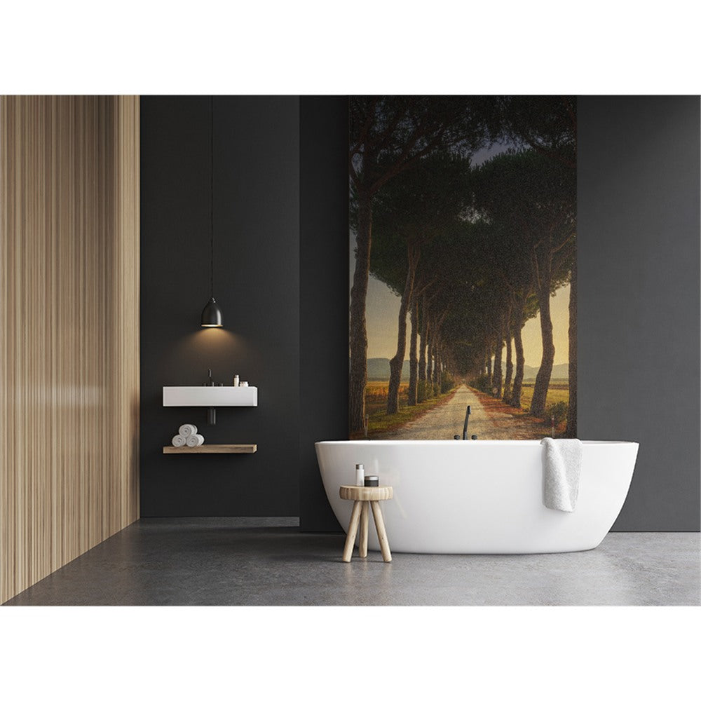 Panneau mural douche VIPANEL - Inspiration nature Chemin des pins - Finition brillant