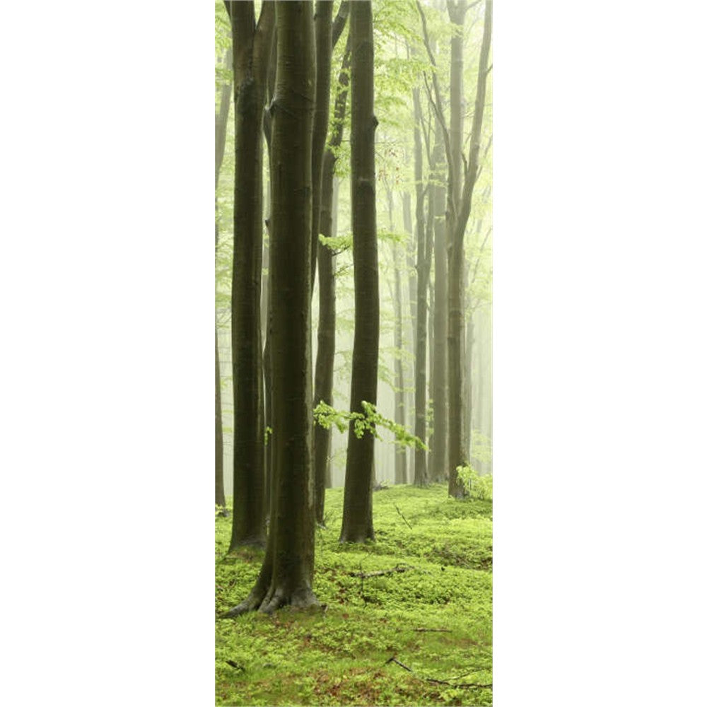 Panneau mural douche VIPANEL - Inspiration nature Brouillard forestier - Finition brillant