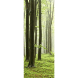Panneau mural douche VIPANEL - Inspiration nature Brouillard forestier - Finition brillant