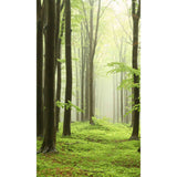 Panneau mural douche VIPANEL - Inspiration nature Brouillard forestier - Finition brillant