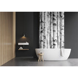 Panneau mural douche VIPANEL - Inspiration nature Bouleaux - Finition brillant