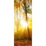 Panneau mural douche VIPANEL - Inspiration nature Forêt d'Automne - Finition brillant
