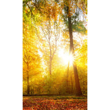 Panneau mural douche VIPANEL - Inspiration nature Forêt d'Automne - Finition brillant