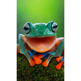 Panneau mural douche VIPANEL - Inspiration nature Grenouille - Finition brillant