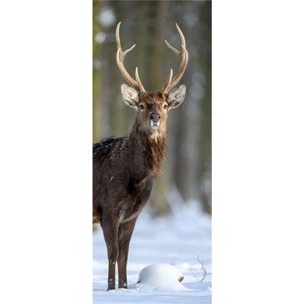 Panneau mural douche VIPANEL - Inspiration nature Cerf sous la neige - Finition brillant