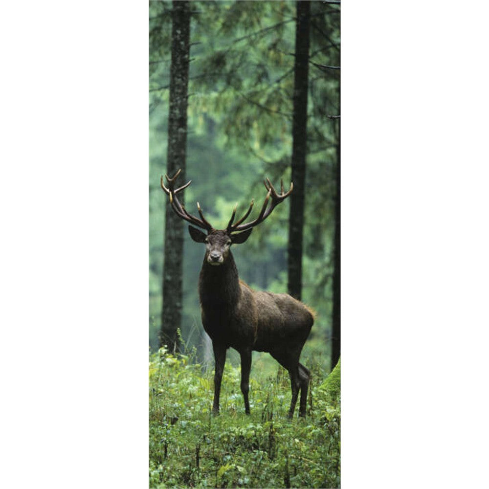 Panneau mural douche VIPANEL - Inspiration nature Cerf dans la forêt - Finition brillant