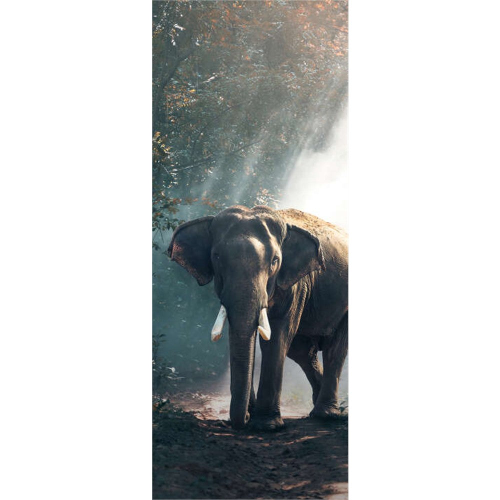 Panneau mural douche VIPANEL - Inspiration nature Éléphant - Finition brillant