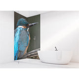 Panneau mural douche VIPANEL - Inspiration nature Martin pêcheur - Finition brillant