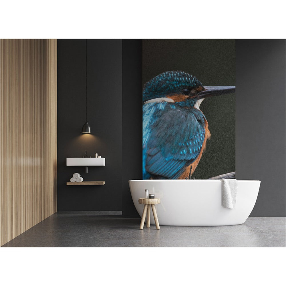 Panneau mural douche VIPANEL - Inspiration nature Martin pêcheur - Finition brillant