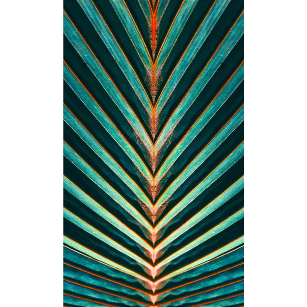 Panneau mural douche VIPANEL - Inspiration nature Exotique - Finition brillant