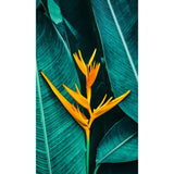 Panneau mural douche VIPANEL - Inspiration nature Heliconia - Finition brillant