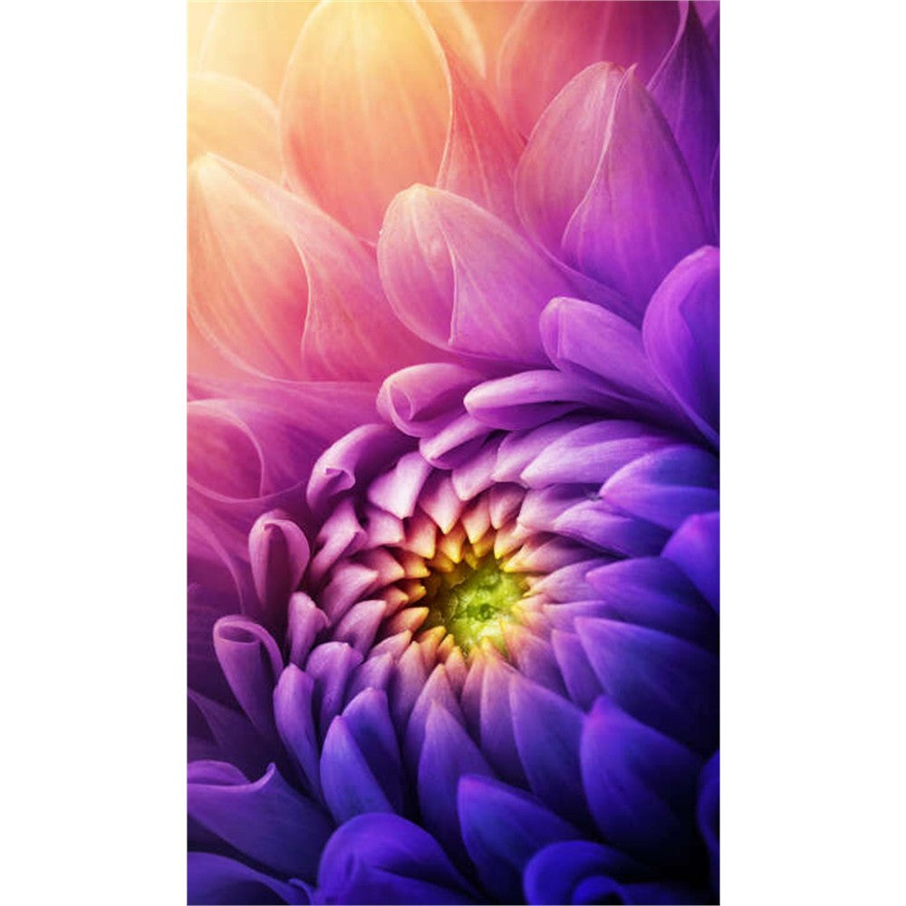 Panneau mural douche VIPANEL - Inspiration nature Chrysantheme violet - Finition brillant