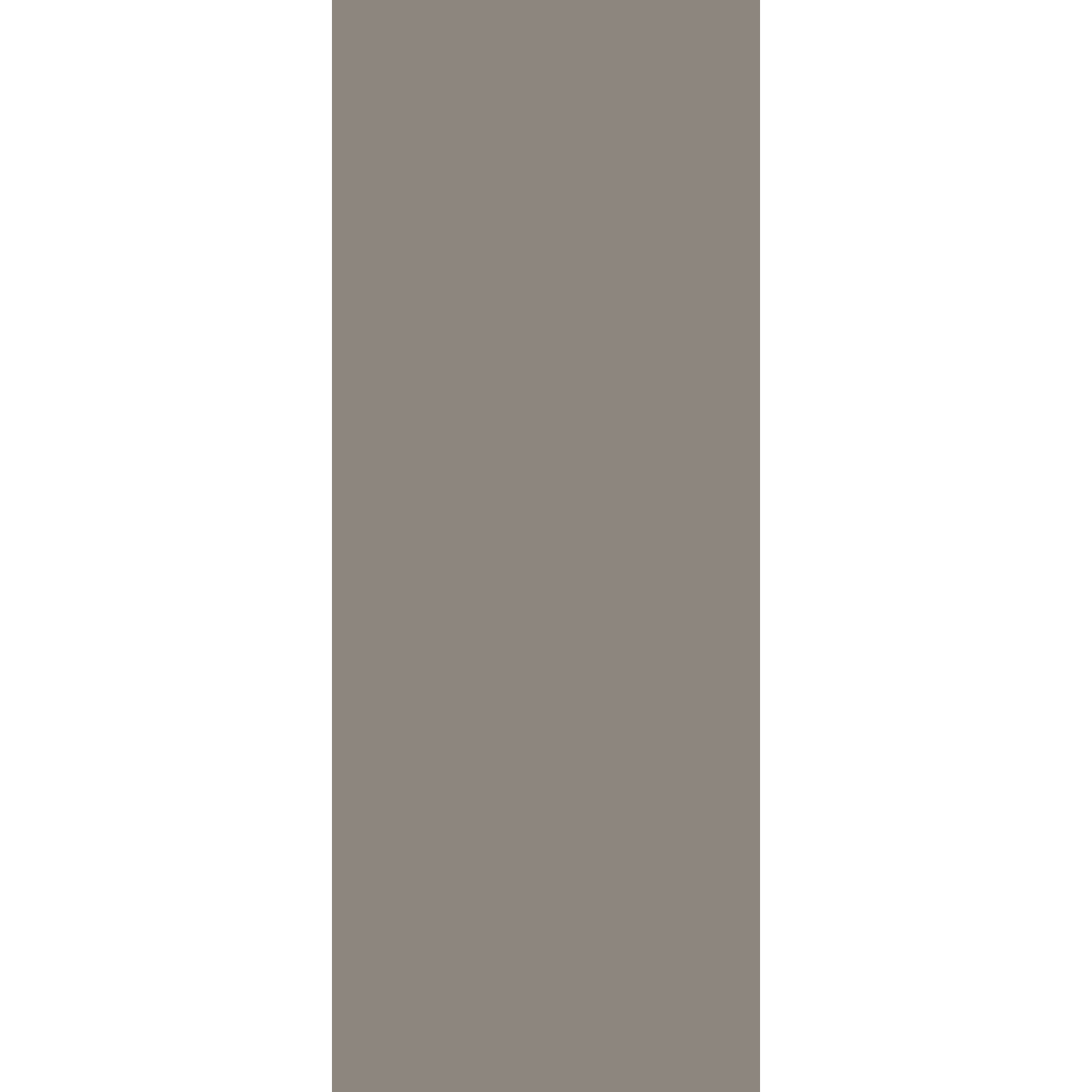 Panneau mural douche VIPANEL - Couleur unie Pantone 403 - Finition velvet