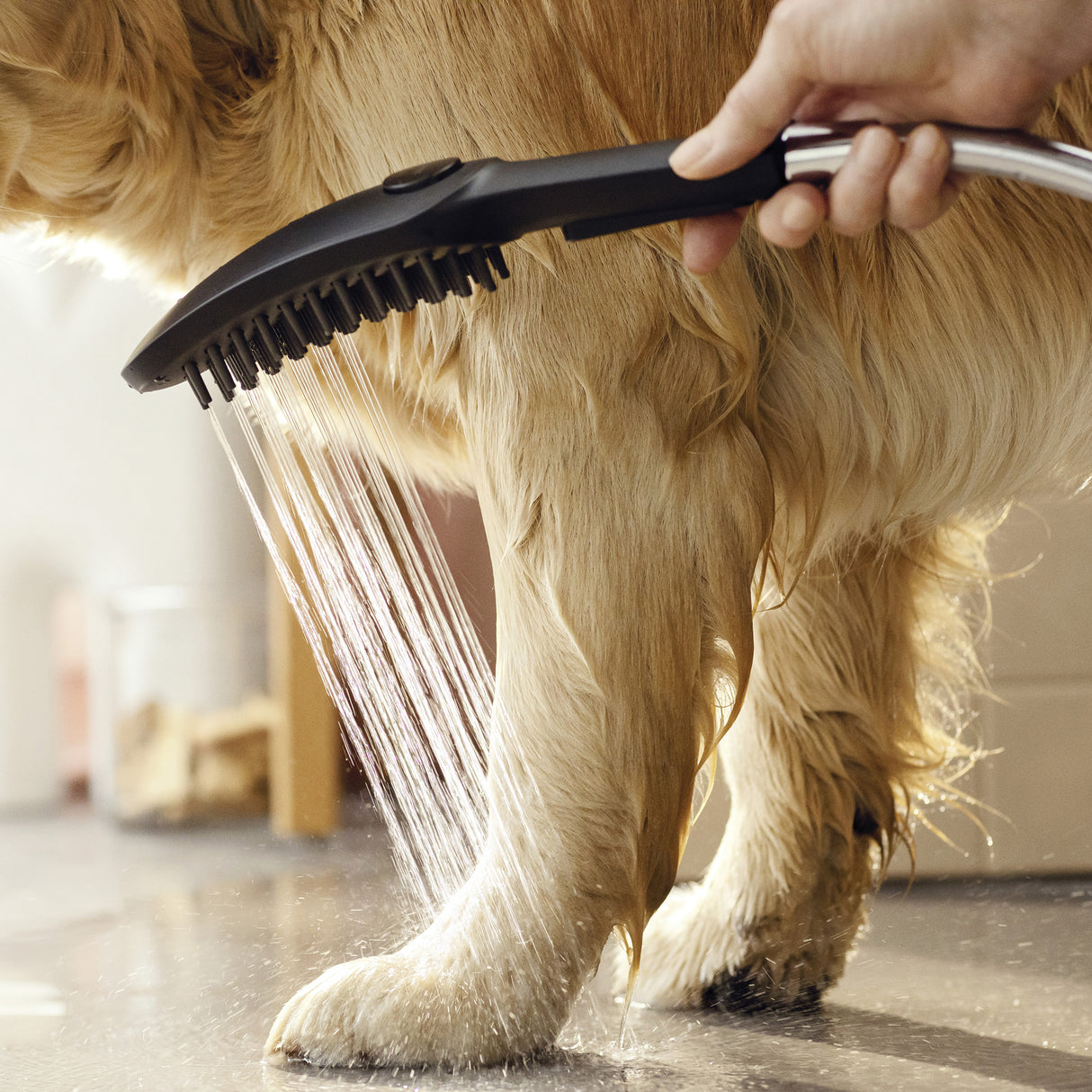 Brosse douche Grohe noire pour animaux, accessoire de toilettage, utilisée sur un chien beige