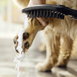 Pommeau de douche Grohe, brosse noire, lavage patte chien, accessoires toilettage.